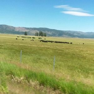 Meet your Posher, Diana